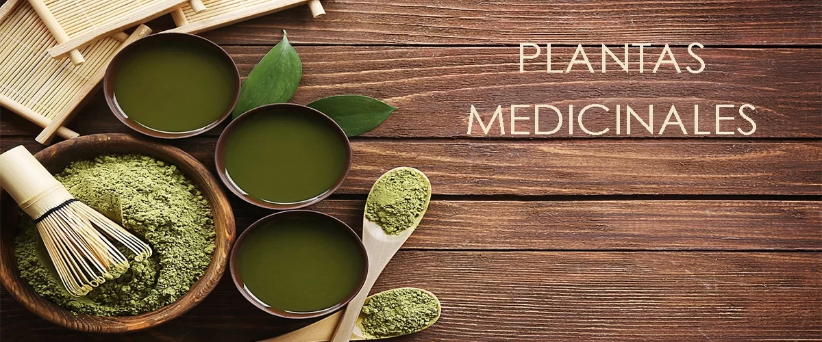 Plantas Medicinales banner